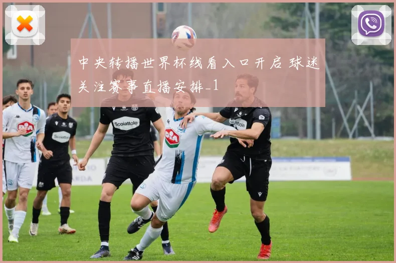 中央转播世界杯线看入口开启 球迷关注赛事直播安排_1