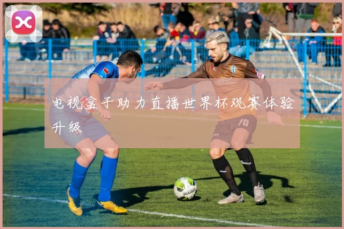 电视盒子助力直播世界杯观赛体验升级
