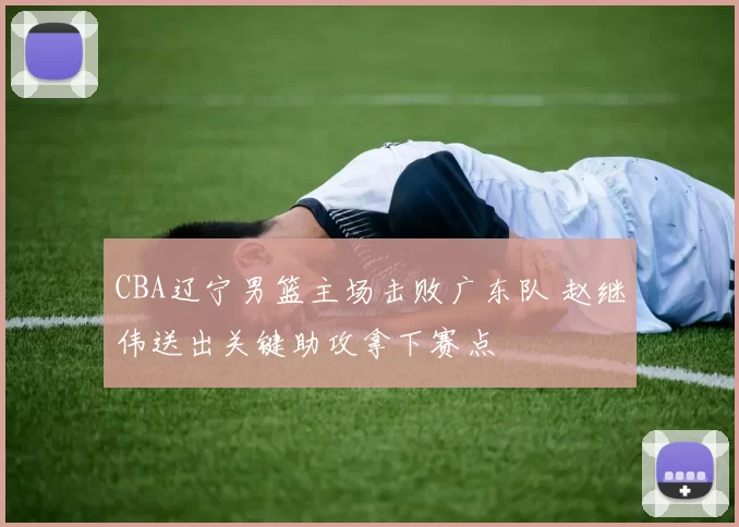 CBA辽宁男篮主场击败广东队 赵继伟送出关键助攻拿下赛点