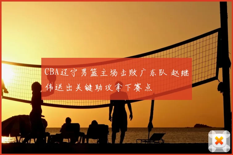CBA辽宁男篮主场击败广东队 赵继伟送出关键助攻拿下赛点